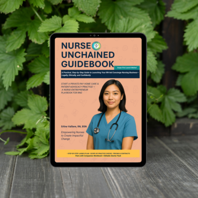 Nurse Entrepreneur Guidebook PDF digital edition.